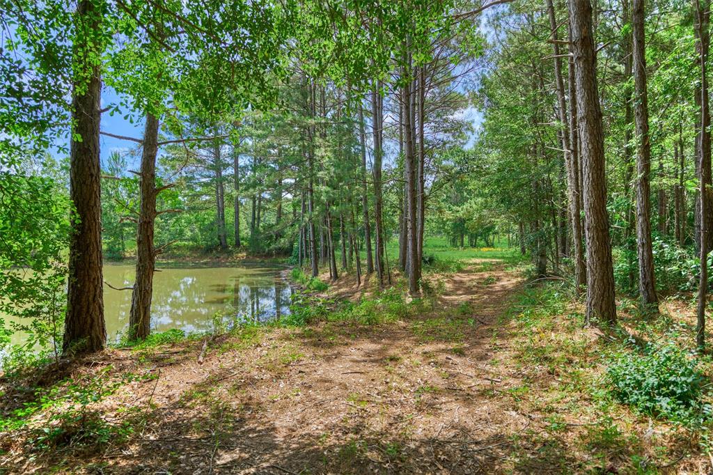 Tract B Sharp View Road, Montgomery, Texas image 8
