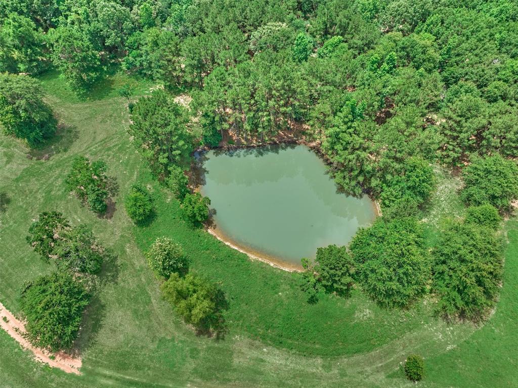 Tract B Sharp View Road, Montgomery, Texas image 4