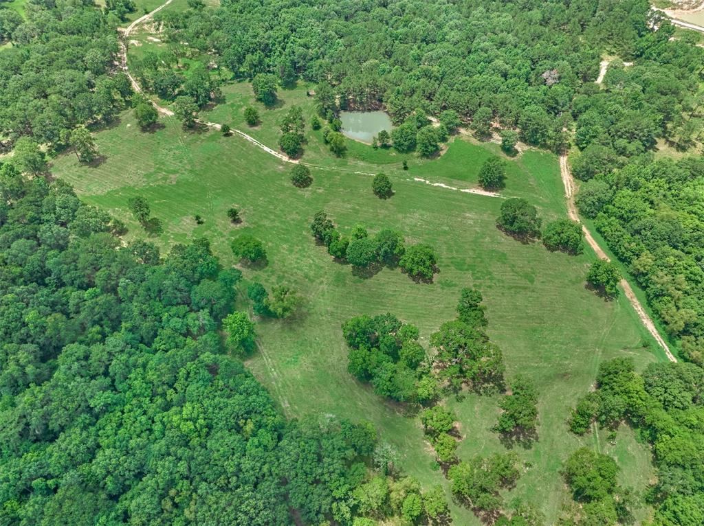 Tract B Sharp View Road, Montgomery, Texas image 6