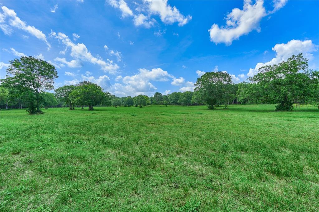 Tract B Sharp View Road, Montgomery, Texas image 11