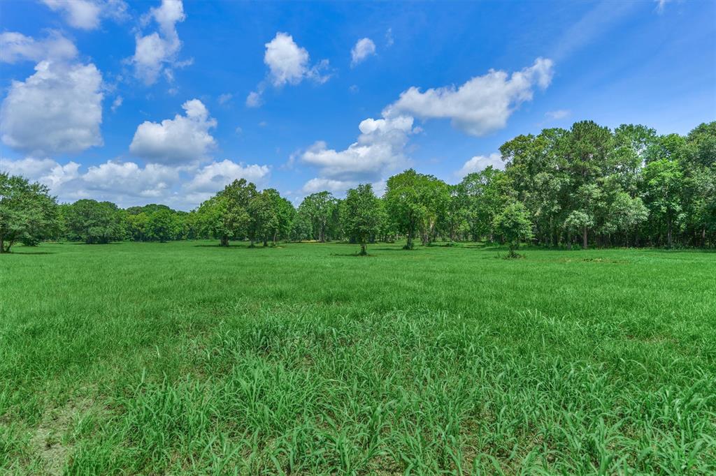 Tract B Sharp View Road, Montgomery, Texas image 13