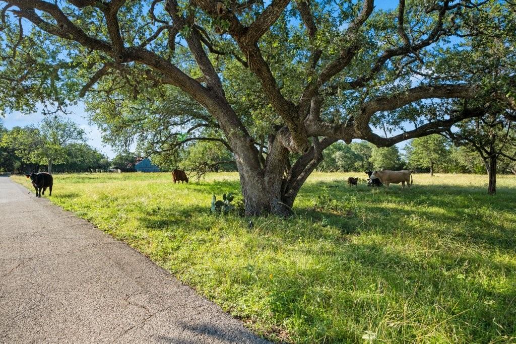 2800 Great Oaks Drive, San Marcos, Texas image 34