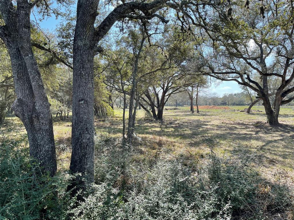 1291 County Road 2152 Rd, Sheridan, Texas image 3