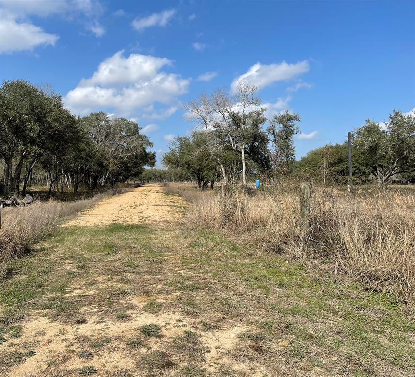 1291 County Road 2152 Rd, Sheridan, Texas image 4