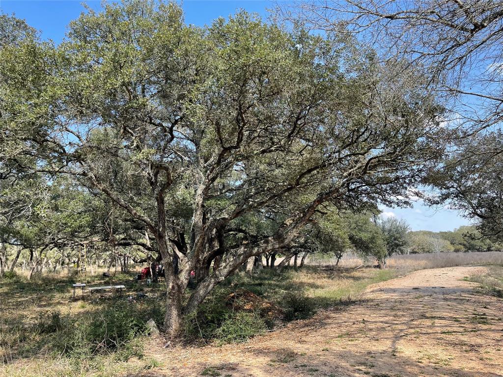 1291 County Road 2152 Rd, Sheridan, Texas image 7