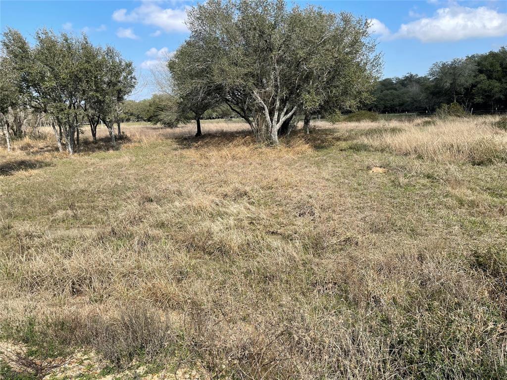 1291 County Road 2152 Rd, Sheridan, Texas image 8