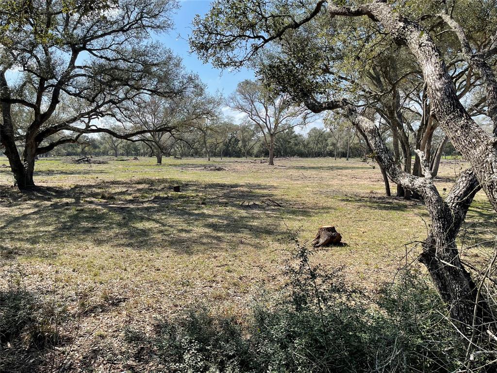 1291 County Road 2152 Rd, Sheridan, Texas image 2