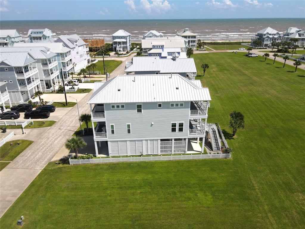 3818 Periwinkle