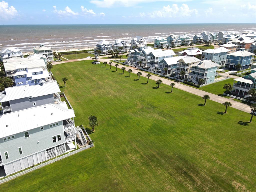 3818 Periwinkle