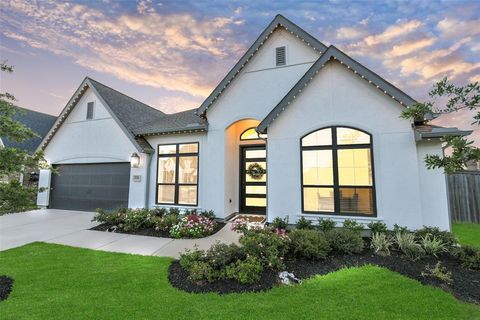 19206 Filly Park Circle Tomball TX 77377