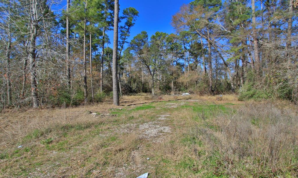 Porter, Texas 77365, United States, ,Land,Active,158939