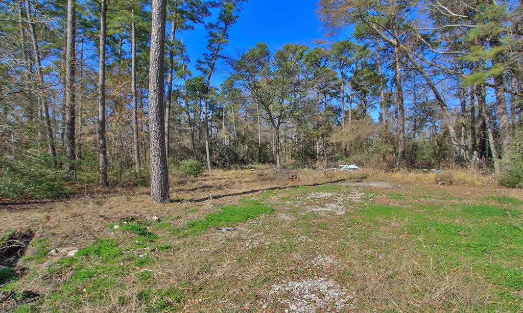 Porter, Texas 77365, United States, ,Land,Active,158939