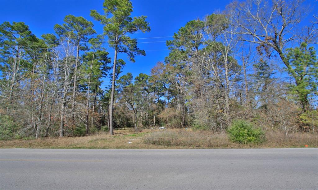 Porter, Texas 77365, United States, ,Land,Active,158939