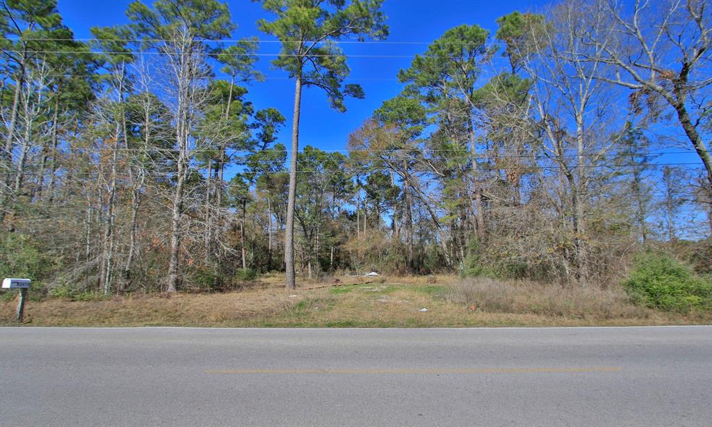 Porter, Texas 77365, United States, ,Land,Active,158939