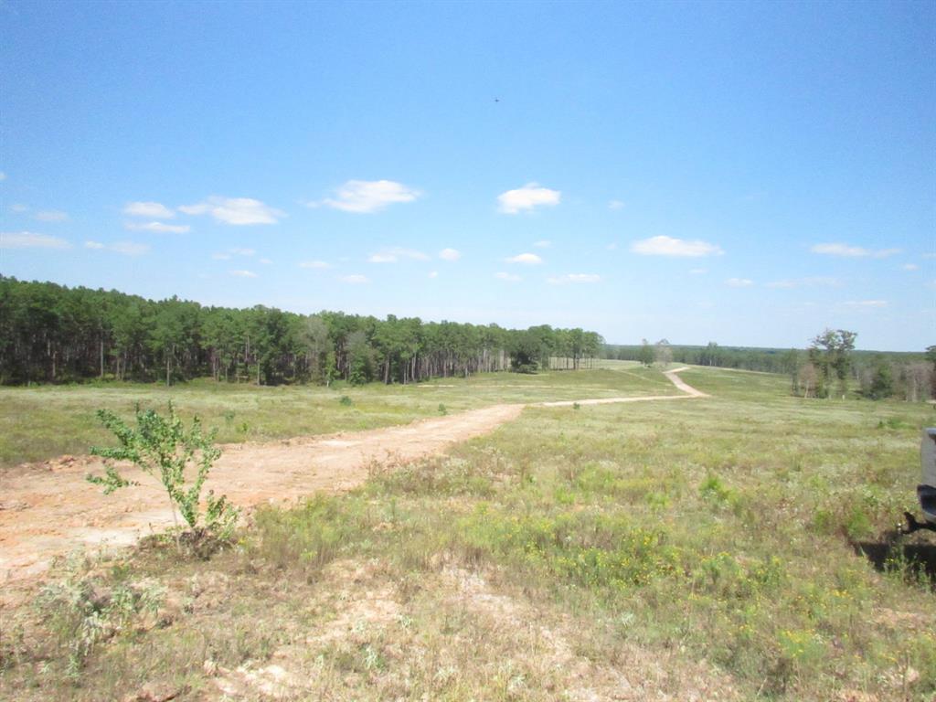 0001 Fm 256 N, Woodville, Texas image 1