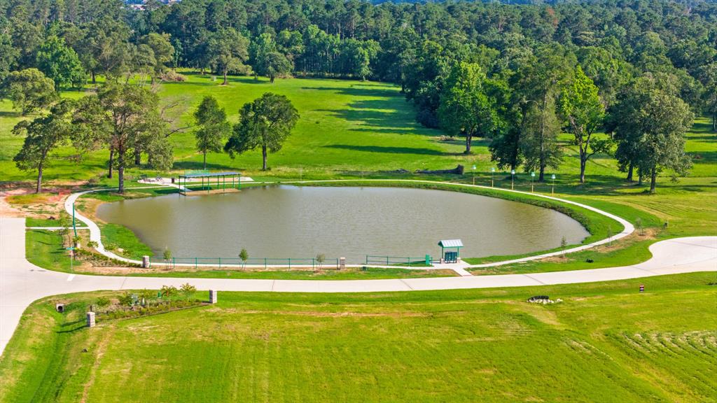 12832 Bentwood Farms Trace, Montgomery, Texas image 3