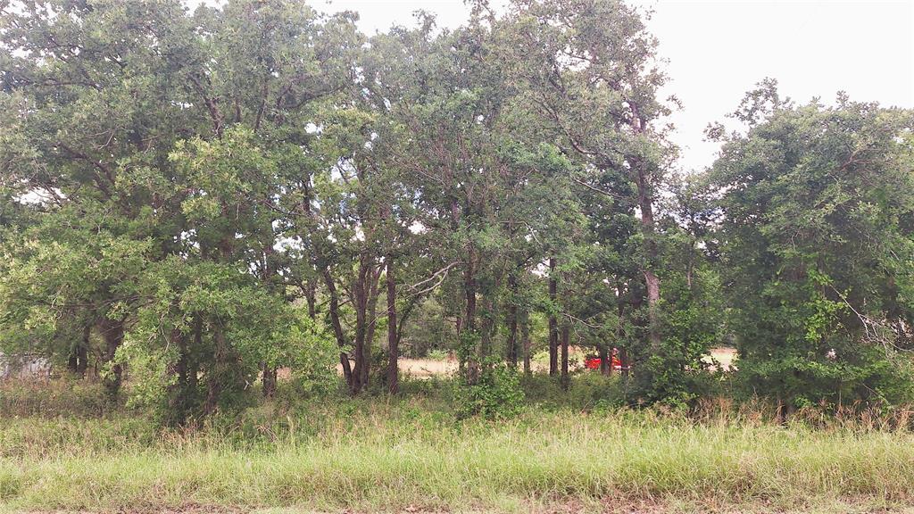 108 Live Oak Path, Somerville, Texas image 3