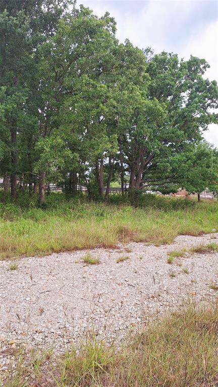 108 Live Oak Path, Somerville, Texas image 5