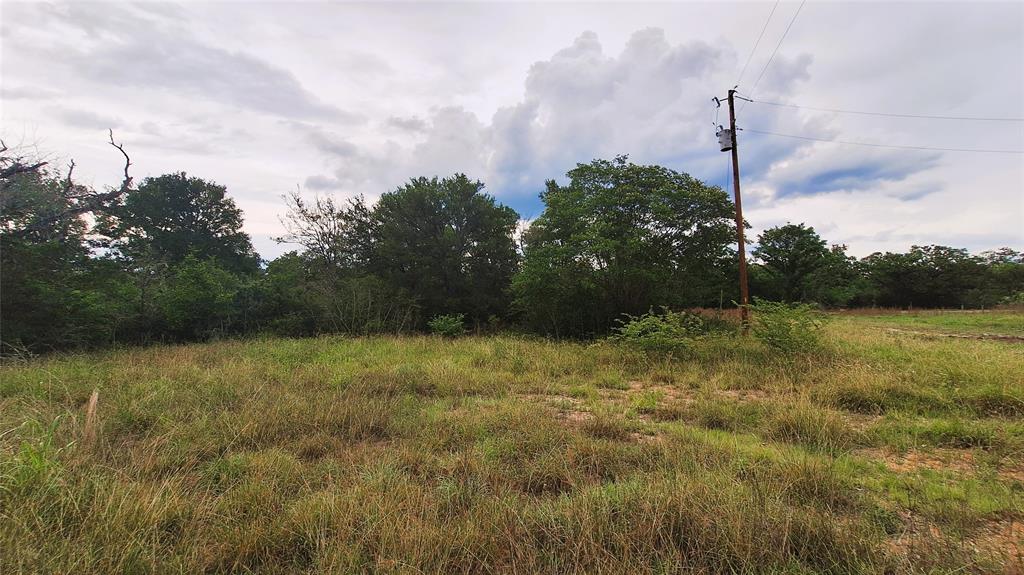 108 Live Oak Path, Somerville, Texas image 6