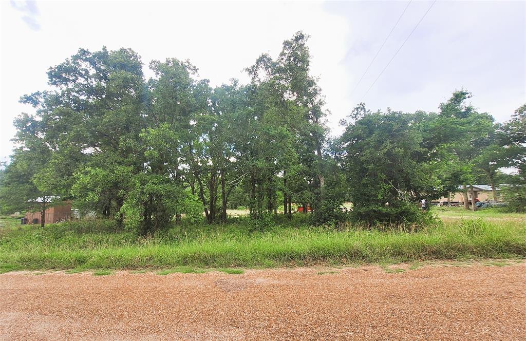 108 Live Oak Path, Somerville, Texas image 2