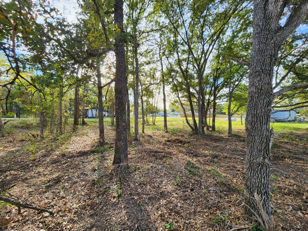 108 Live Oak Path, Somerville, Texas image 3