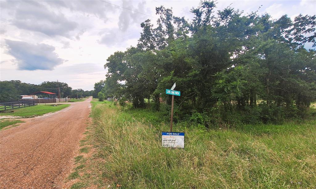 108 Live Oak Path, Somerville, Texas image 1