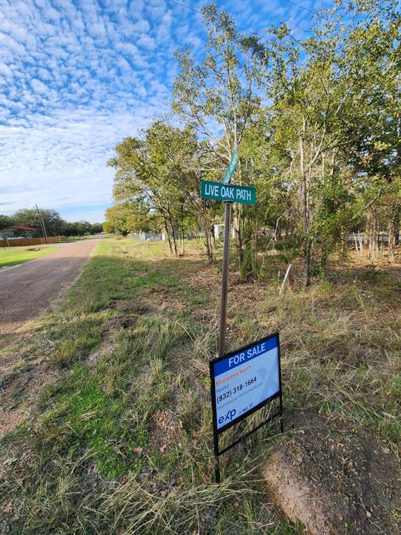 108 Live Oak Path, Somerville, Texas image 10