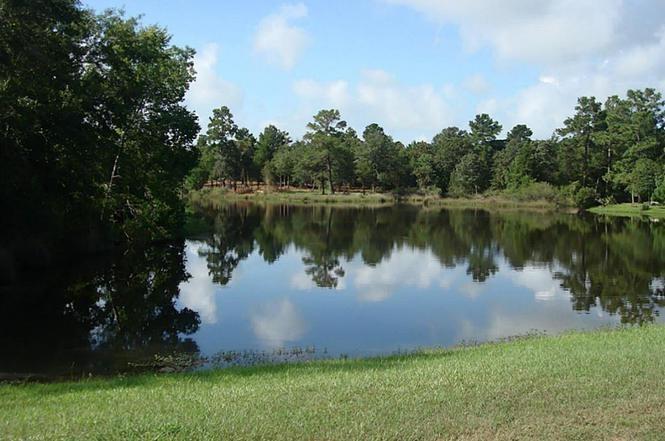 S455500 Deerwood Lakes 5, Hempstead, Texas image 2