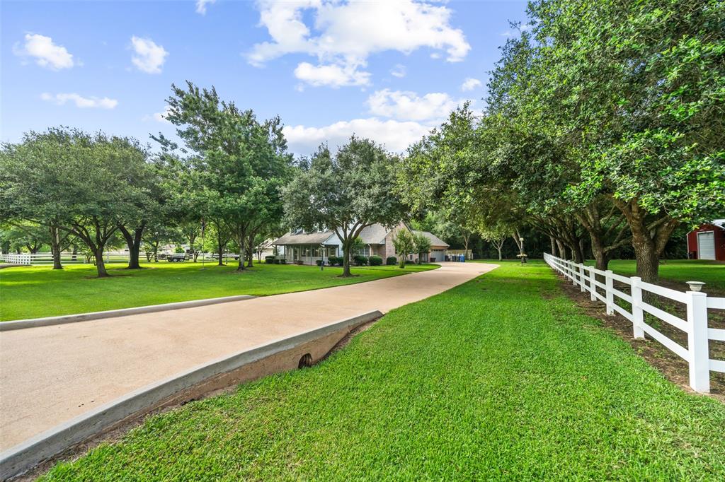 20103 Faye Street, Tomball, Texas image 4