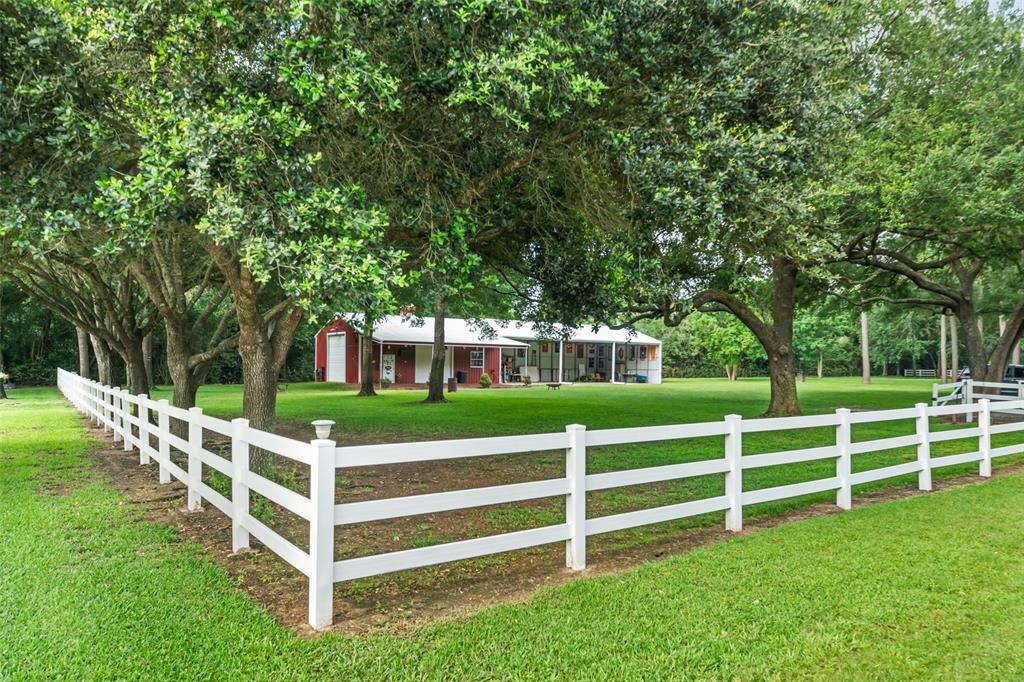 20103 Faye Street, Tomball, Texas image 3