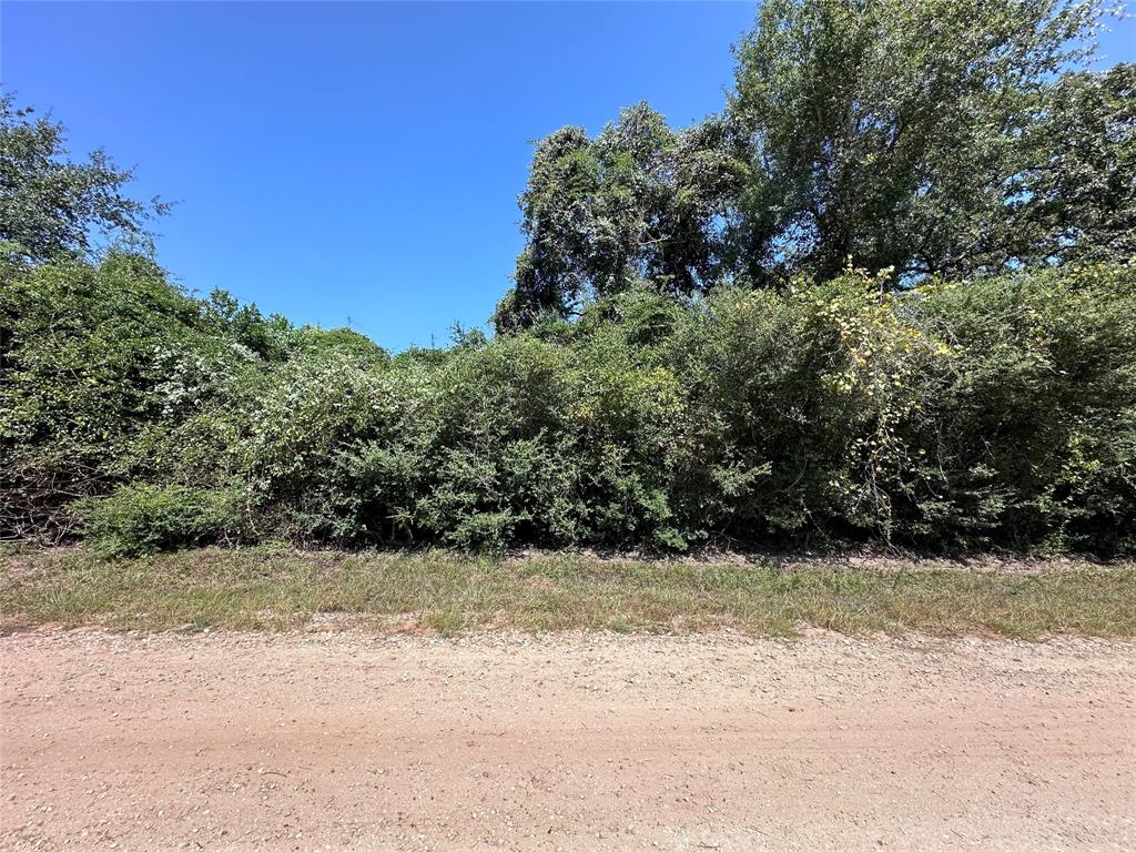 TBD New Mexico Parkway, Hilltop Lakes, Texas image 1