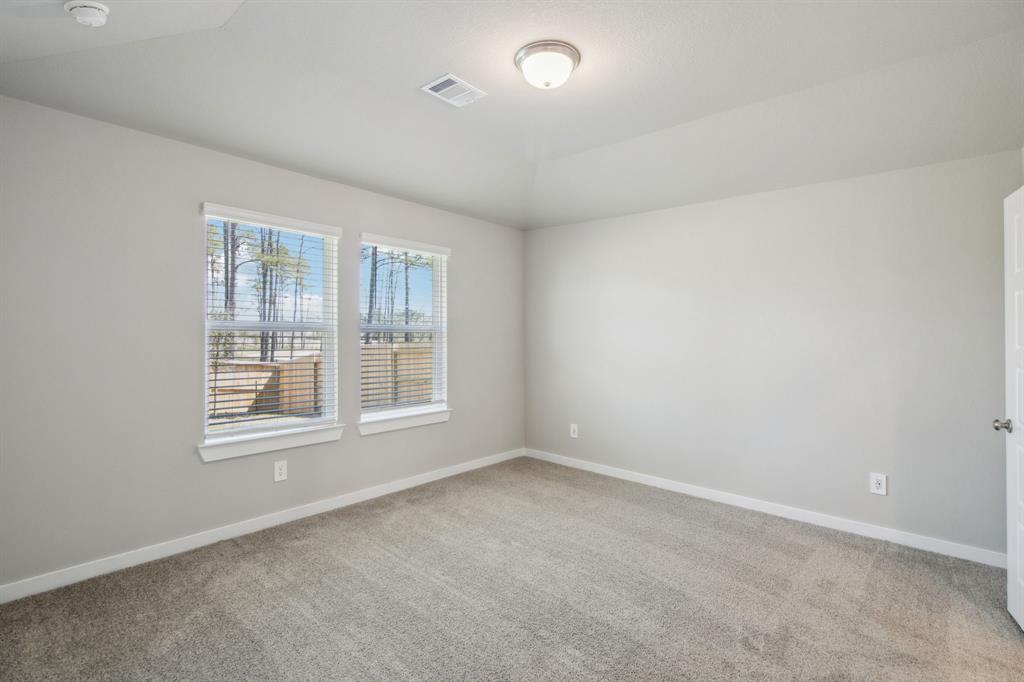 336 Willow Sage Court, Montgomery, Texas image 13