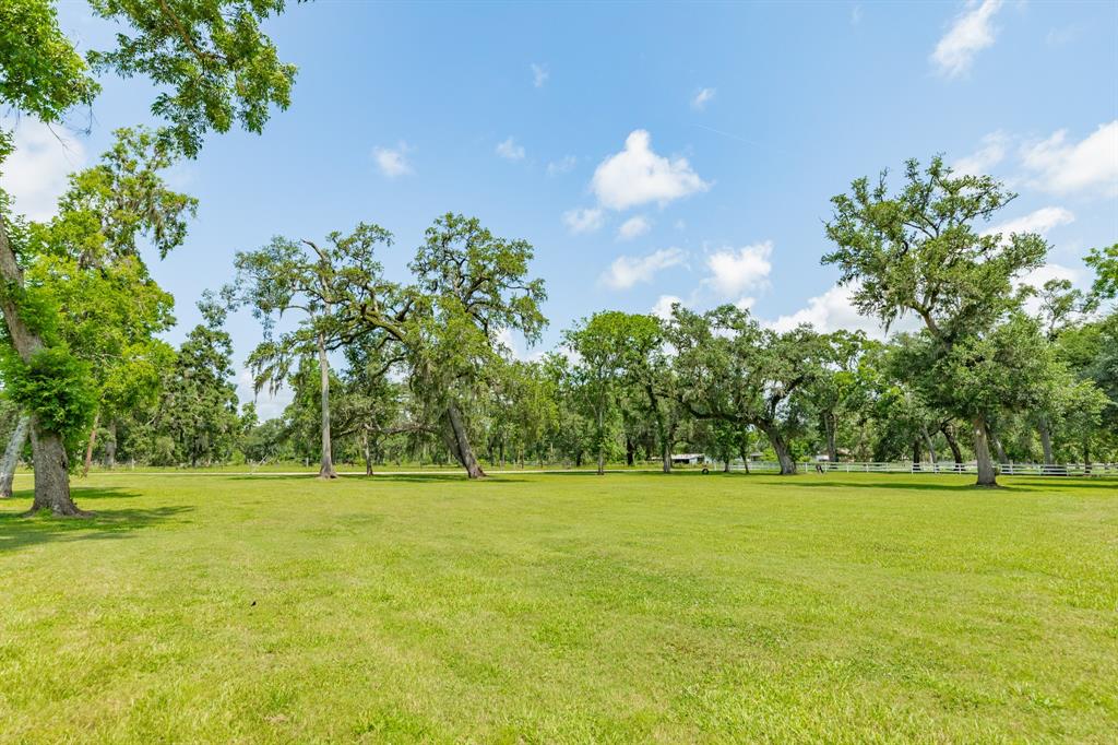 178 Brazos Dr Dr, Angleton, Texas image 31