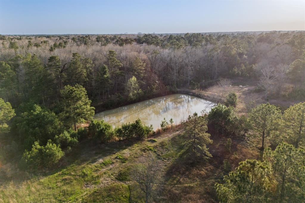 2394 Crockett Martin Road, Conroe, Texas image 20