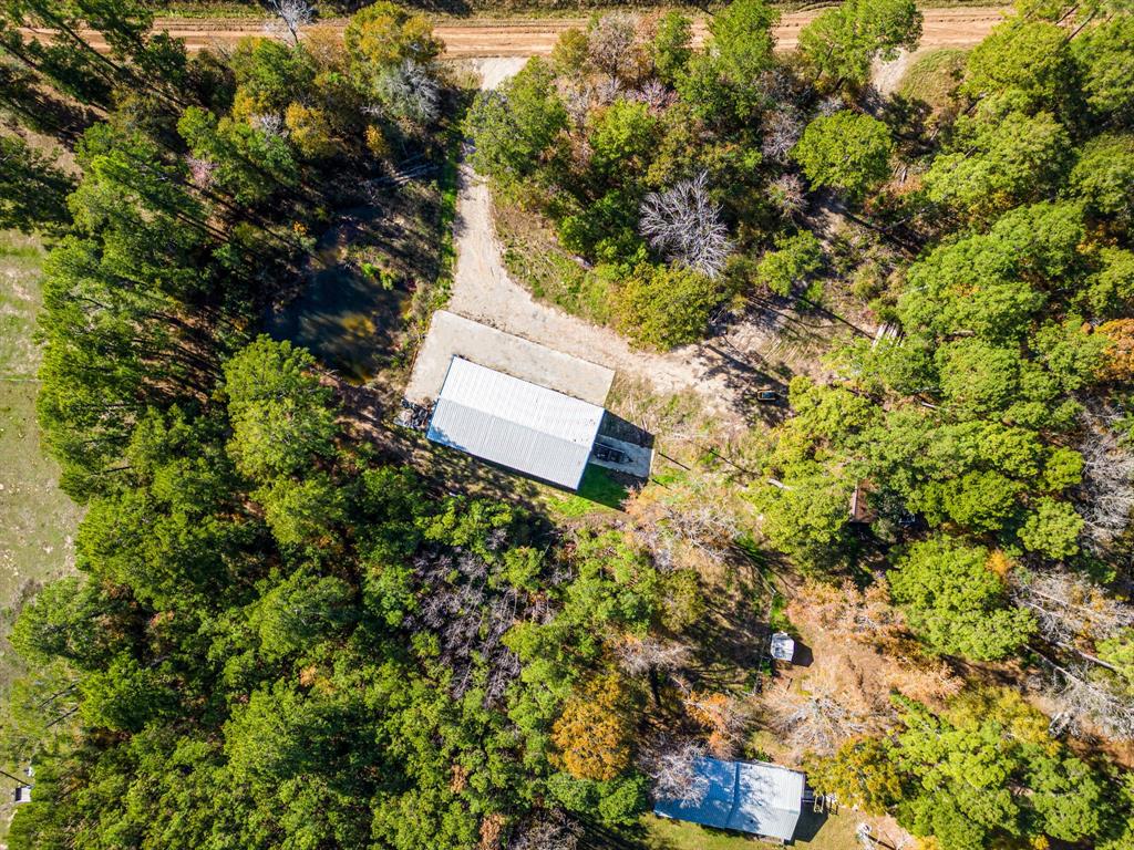 161 Guinea Road, Oakhurst, Texas image 2