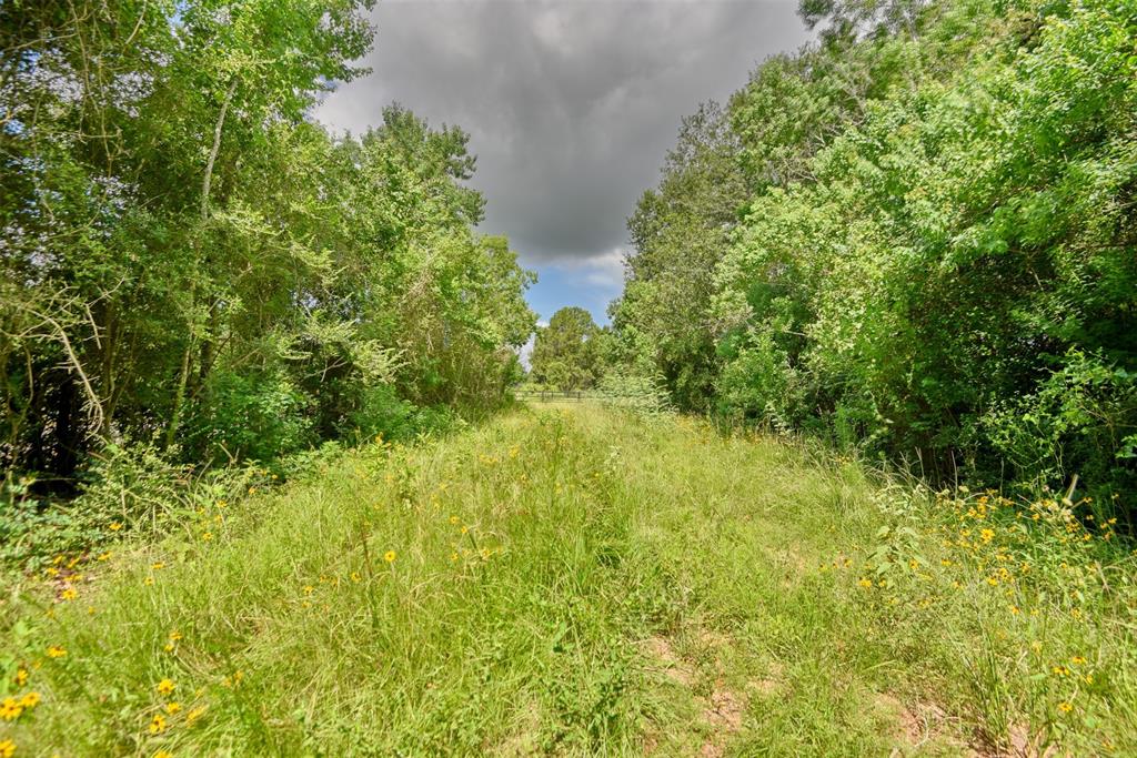 30584 Hegar Rd, Hockley, Texas image 9