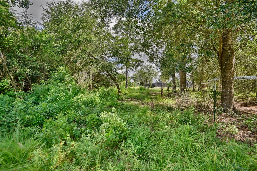 30584 Hegar Rd, Hockley, Texas image 13