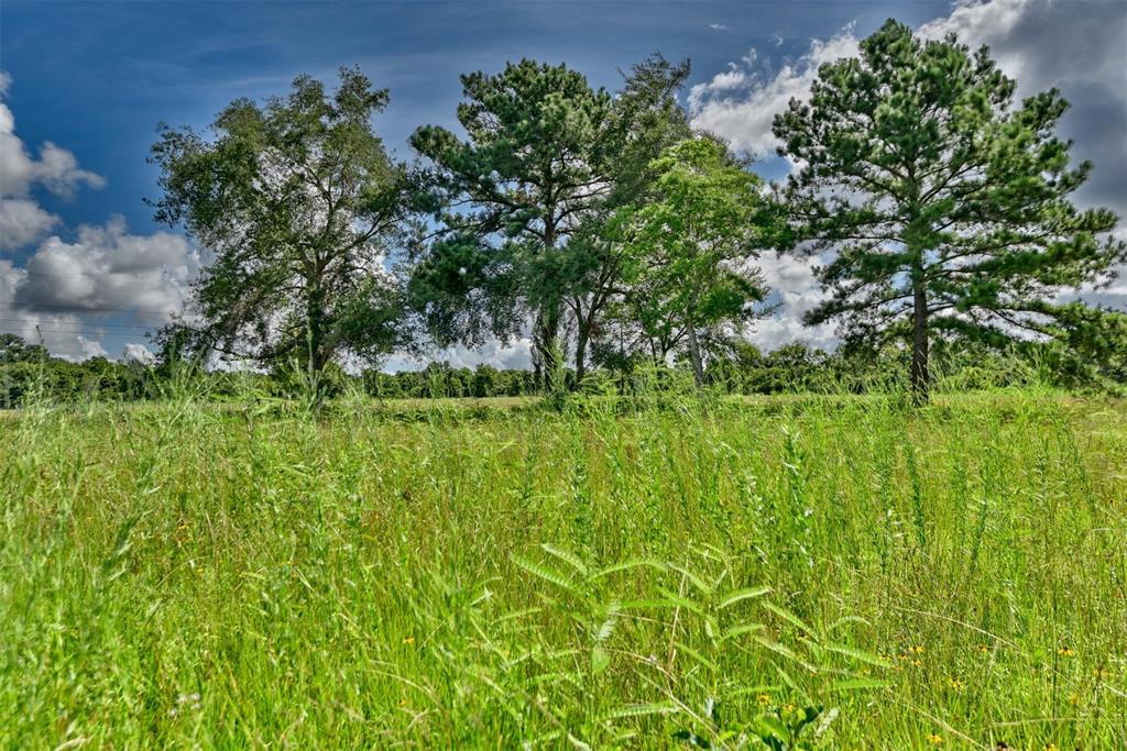 30584 Hegar Rd, Hockley, Texas image 3