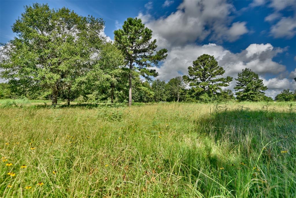 30584 Hegar Rd, Hockley, Texas image 12