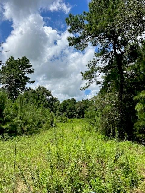 11480 Cr 307, Navasota, Texas image 9