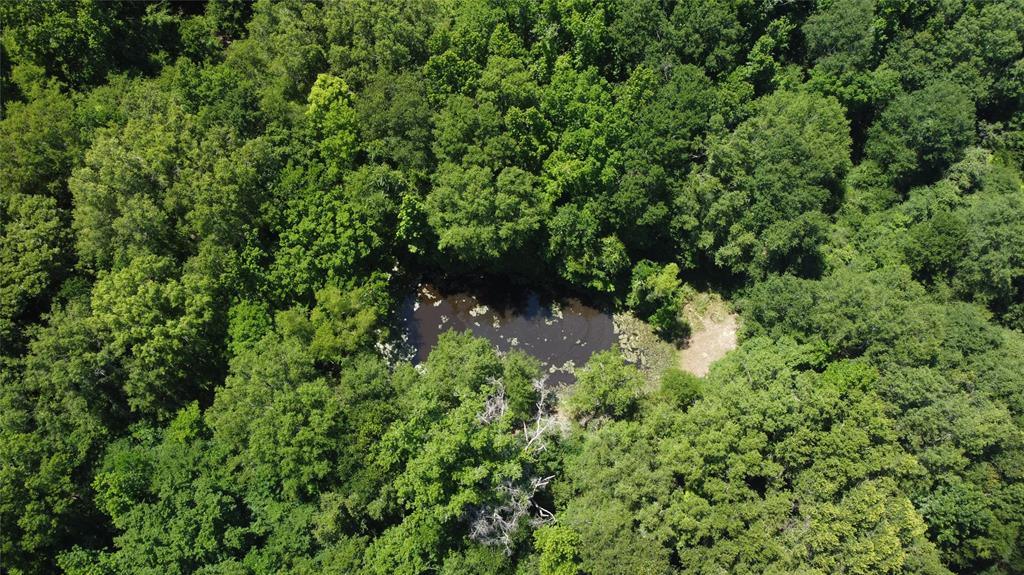 89 Harper Branch Road, Trinity, Texas image 13