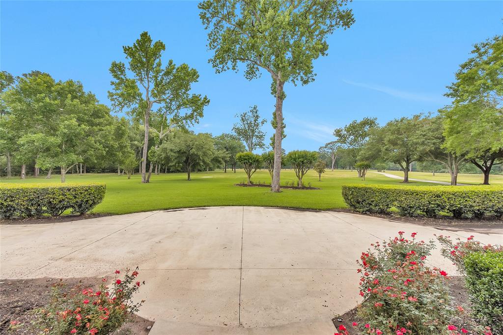 12158 Fm 830 Road, Willis, Texas image 6