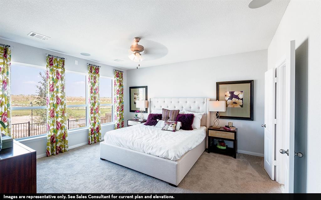 3802 Aster Hill Drive, Santa Fe, Texas image 12