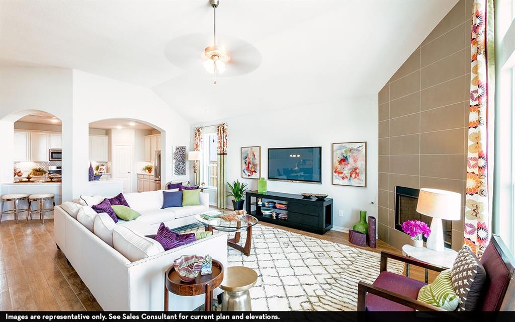 3802 Aster Hill Drive, Santa Fe, Texas image 5