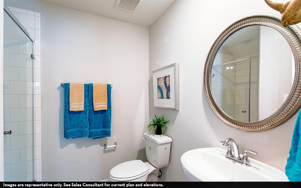 3802 Aster Hill Drive, Santa Fe, Texas image 20