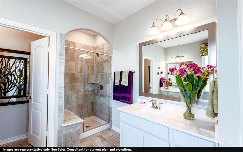 3802 Aster Hill Drive, Santa Fe, Texas image 13