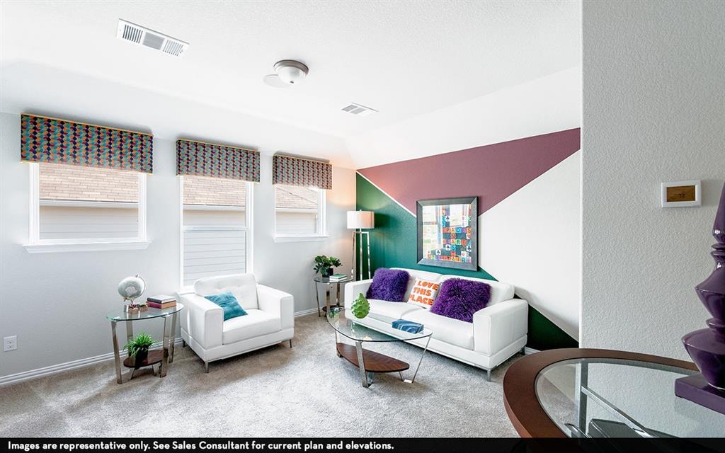 3802 Aster Hill Drive, Santa Fe, Texas image 17