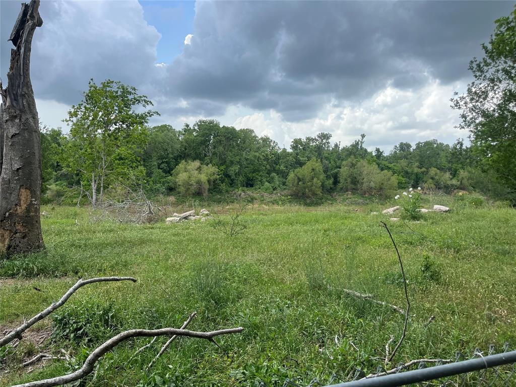 2403 N Bar Road, Rosenberg, Texas image 23