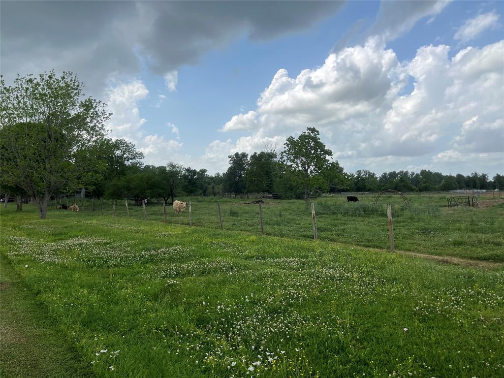 2403 N Bar Road, Rosenberg, Texas image 14