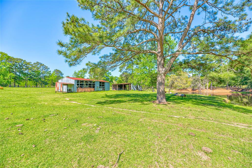 256 Telegraph Road, Moscow, Texas image 44